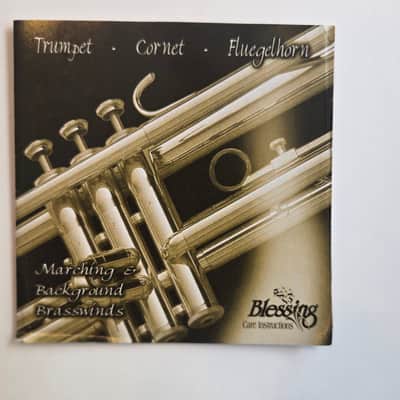 Blessing B-123 Cornet - Lacquered brass/silver image 12