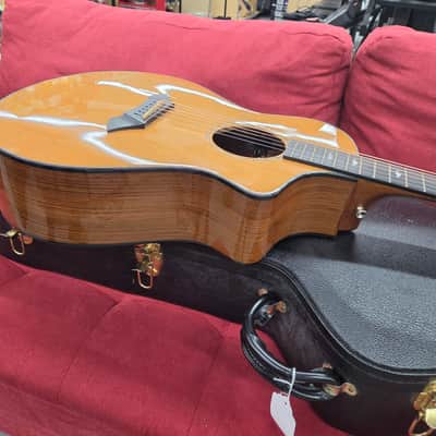 Breedlove Focus Acoustic Electric with Case 2001 - Natural image 14