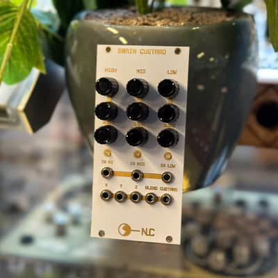 Nonlinear Circuits Brain Custard Eurorack Module image 1