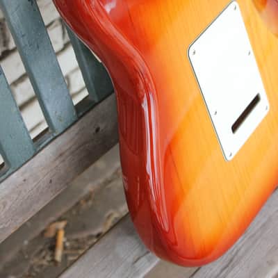 Fender 2018 American Professional Stratocaster Sienna Sunburst image 10