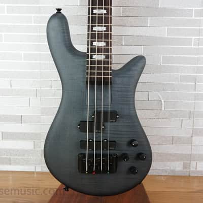 Spector Euro 4 LX Bolt-On - Transparent Black Stain Matte image 1