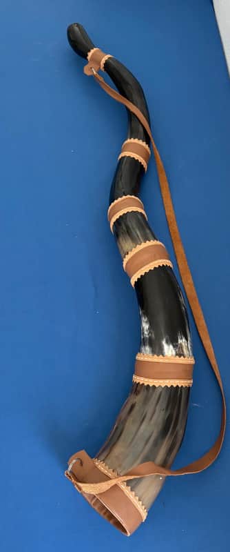 41" Brazilian Berrante Ox Horn Trumpet Handmade in 5 Horns and Leather Streaps image 1