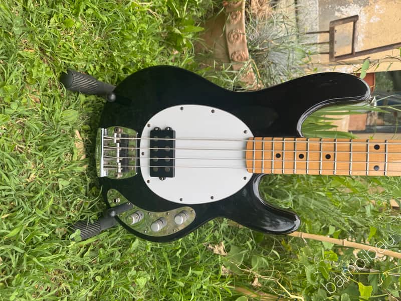 Music Man Stingray Bass