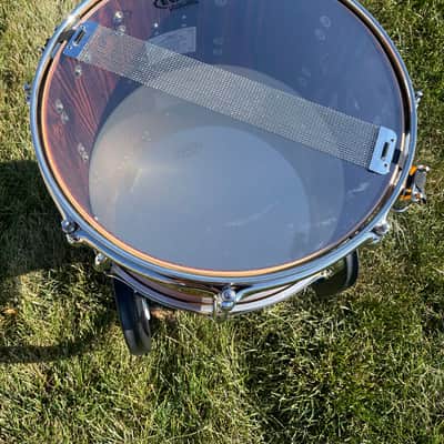 Tama Star Reserve 8x15 Maple/Bubinga Snare Drum Caramel Olive Ash Burst TMBS158S-OCOB image 12