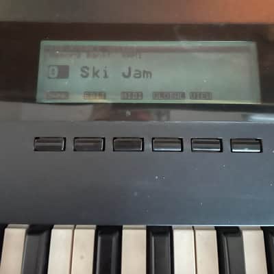 Korg Wavestation WS1 2010s - Black image 15