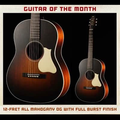 IRIS 12-Fret OG All Mahogany Burst image 12