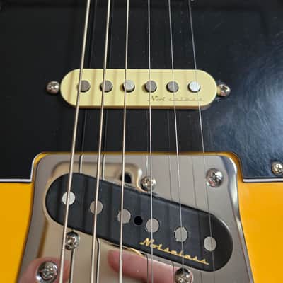 Fender Player Plus Nashville Telecaster with Maple Fretboard 2021 - Present - Butterscotch Blonde image 12