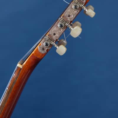 Giannini Craviola AWKNS6 / Nylon String and Bossa Ready! image 16
