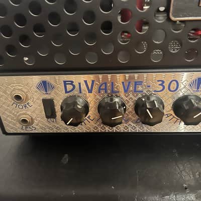 THD BiValve 30 Class-A 30-Watt Tube Guitar Head 2010s - Black and Silver image 5