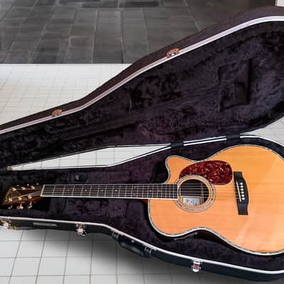 Zager ZAD-80 CD OM Guitar Bundle image 19