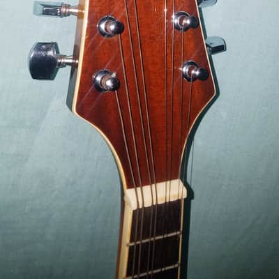Johnson Oval Hole Acoustic Model MA-100 Needs New Strings and Tailpiece Cover image 3