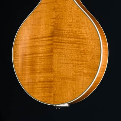 Bourgeois M5A Mandolin Full Aged Tone Adirondack Spruce and European Flamed Maple NEW image 14