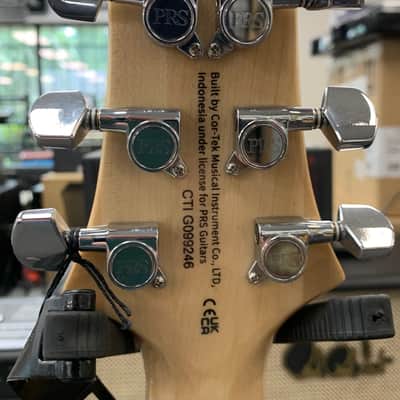 PRS SE "Exotic" Custom 24 Burled Swamp Ash Limited Edition - Natural image 9