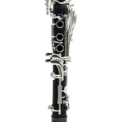 Backun 'Lumiere' Custom Grenadilla Clarinet in Bb SN 829 OPEN BOX image 6