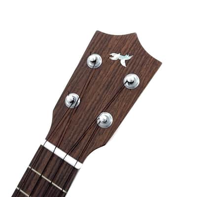 【Watch Before You Buy】MAKOLELE No.344 2025 - Gloss lacquer finish image 5