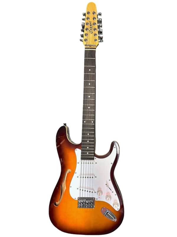 Cozart 12-String S-Type Semi-Hollow Custom Handmade Electric Guitar image 1