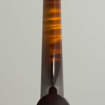 Collings MT Carved Top Mandolin (2014), ser. #A2919, original black hard shell case. image 9