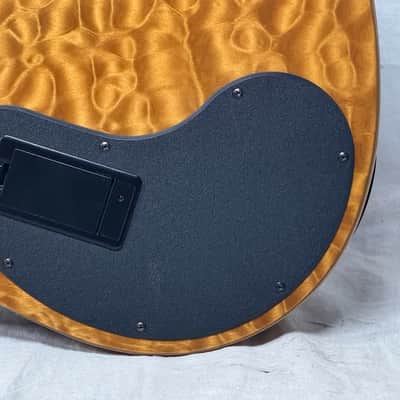 Parker USA FB-5 fb5 Fly 5-string Bass image 12