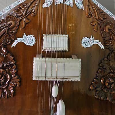 Pro  SITAR,  Ravi Shankar style design image 4