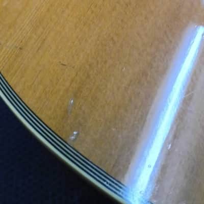 Ibanez Artwood AW Series Dreadnought 1996 - Natural image 10