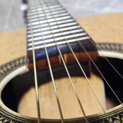 vintage CLARISSA flat top Blues GUITAR Eko guitare chitarra Italia 1972 image 10