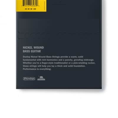 Dunlop DBN40100 Nickel Wound, Light Set/4 image 2