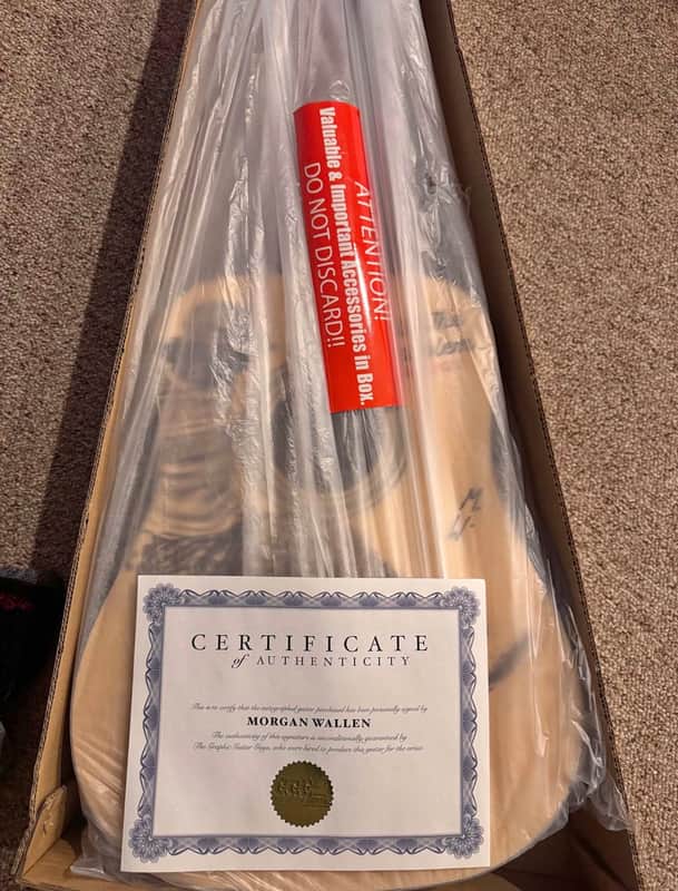 Epiphone Songmaker DR-100