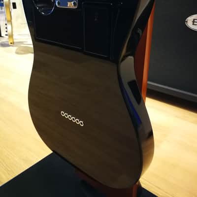 Ibanez FLATV1-BK image 9
