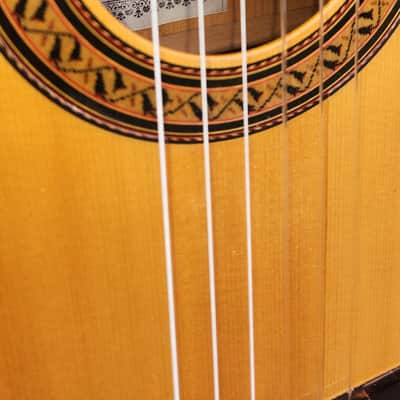 German Vazquez Rubio Flamenco - Reyes model image 3