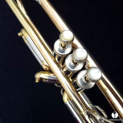 Holy grail ! The Martin Committee Handcraft Goldbrass transitional trumpet case mouthpiece gamonbrass image 13