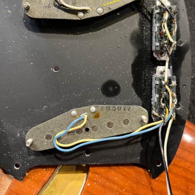 Fender Mustang Walnut 1977 image 14