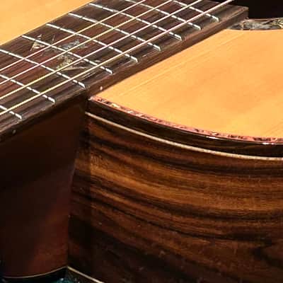 Washburn Bella Elegante S24S Solid Spruce Top Parlor Size Acoustic Guitar image 18