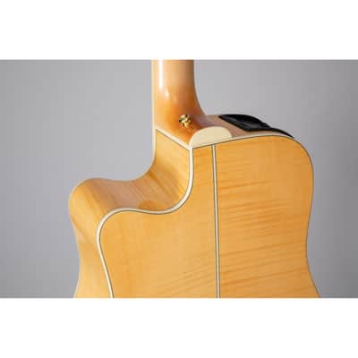 Takamine GD74CE-12U NAT - 12 String Acoustic Guitar image 8