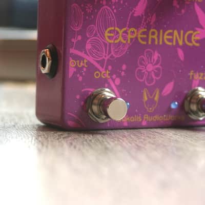 Tsakalis Audioworks "Experience Fuzz Octave" image 6