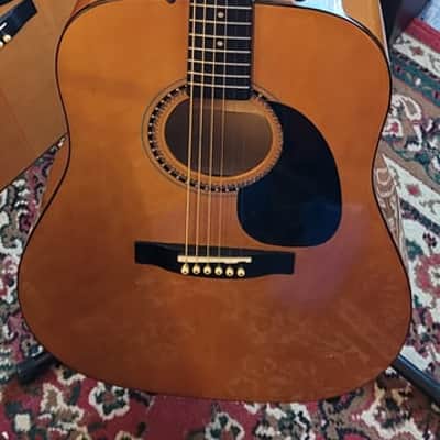 Palmer PD206 LB Dreadnought Acoustic Guitar image 2