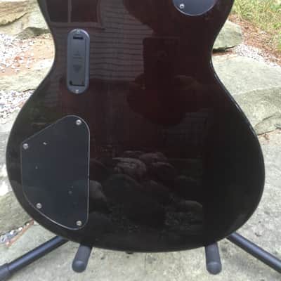 Washburn WI-66PROE Idol (Limited) Black & Gray image 6