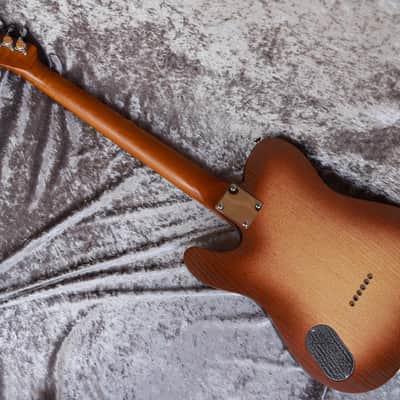 Immagine GB Liuteria Traditional Tele walnuts burl and resin - 13