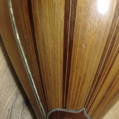 Greek Bouzouki & hardcase & pickup & 300 backing track with pdf scores 8 string image 10