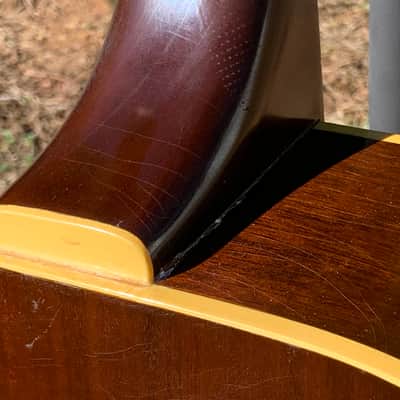 Guild D-40c-NAT 1970s Natural Rare 1st Dreadnaught Cutaway image 7