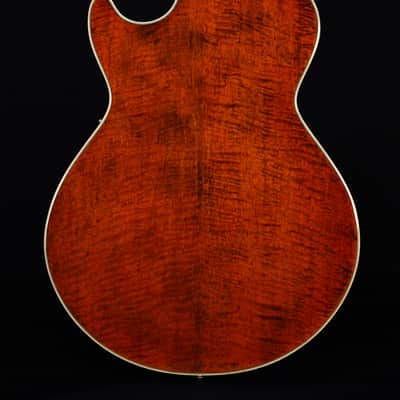 Ibanez AG95MGDA, AG Expressionist, Mango top/back/sides, Gold Hardware image 3