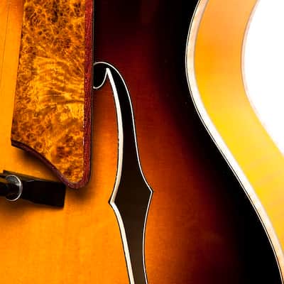 Octigan 17 inch jazz guitar 2010 Tobacco Burst image 5