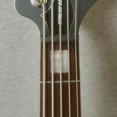 ESP LTD Stream-205 5-String Bass Guitar image 5