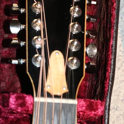 Taylor Custom Ordered Grand Concert 12 Fret - Beautiful Condition - No Tariffs image 4