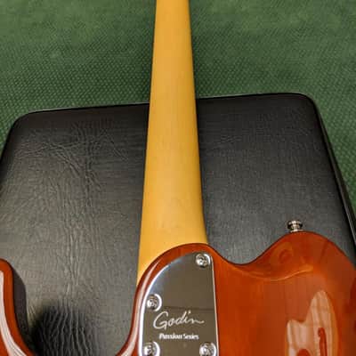 Godin Passion Custom 2018 Whiskey Burst image 5