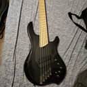 Dingwall NG2 Adam "Nolly" Getgood Signature 5-String
