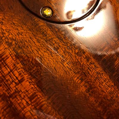PRS Private Stock #6049 single Cut Trem in Tiger Eye Smoked Burst with Brazilian neck image 15