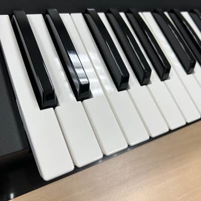 Korg ARP Odyssey FS Rev1 37-Key Duophonic Analog Synthesizer 2017 - Present - White/Black image 4