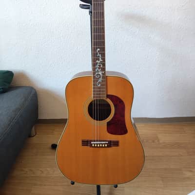 Washburn D95LTD 1995 image 1