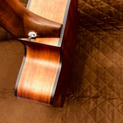 Cort COREOCOPLB Venetian Cutaway Solid Blackwood Top 6-String Acoustic-Electric Guitar w/Deluxe Case image 9