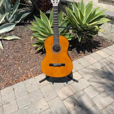 Valencia Classical Guitar image 1